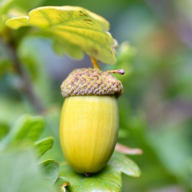 Hvad din akne forsøger at fortælle dig: Symptomer, der afslører mere end du tror