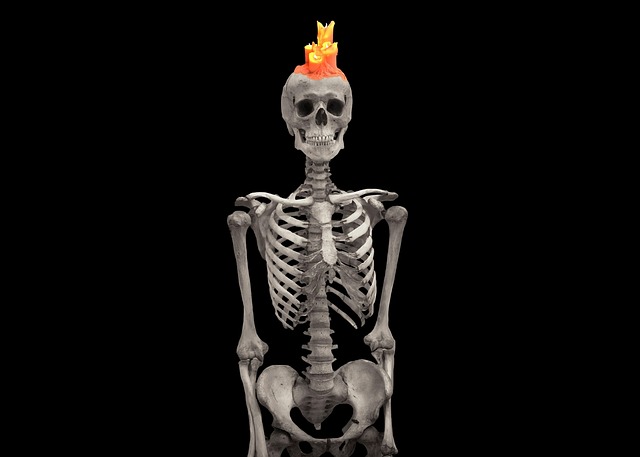 Når livet slutter: En dag i en bedemands liv